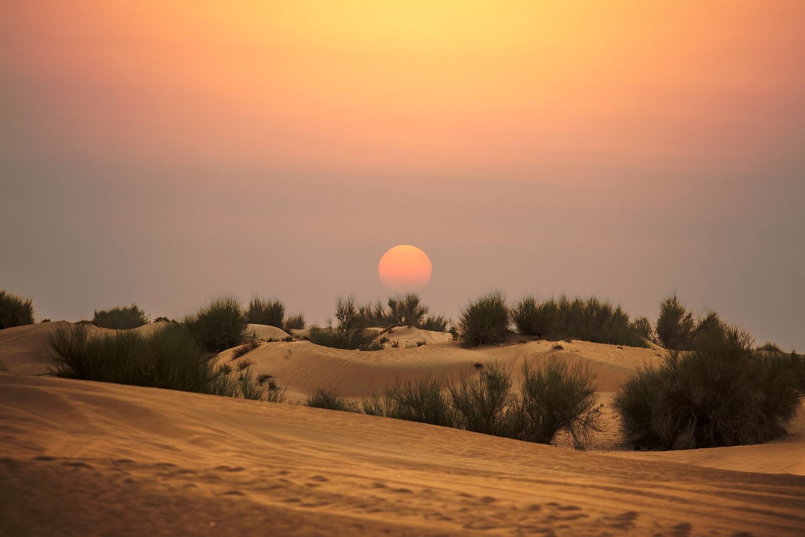 Sunset over the dunes outside Dubai